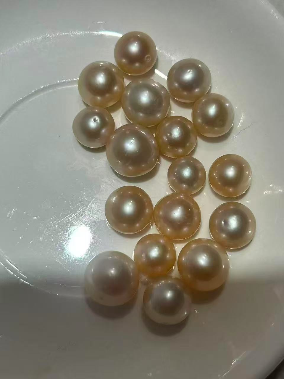【Live-Gary】Soft color Edison Clam