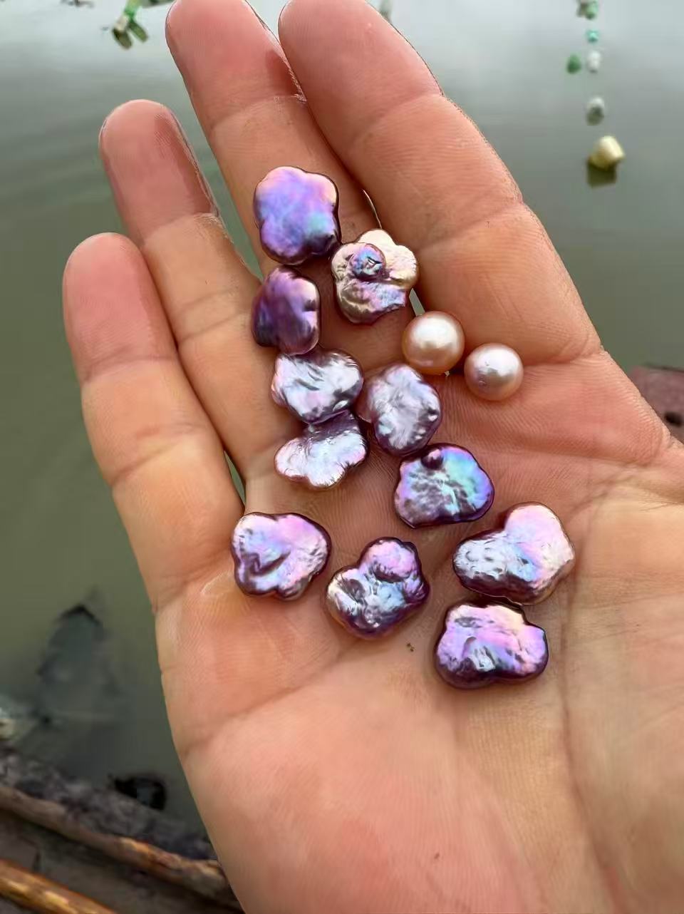 【Live-Gary】Butterfly Baroque Pearls(3-6 Butterfly baroque pearls+1 edison pearl)