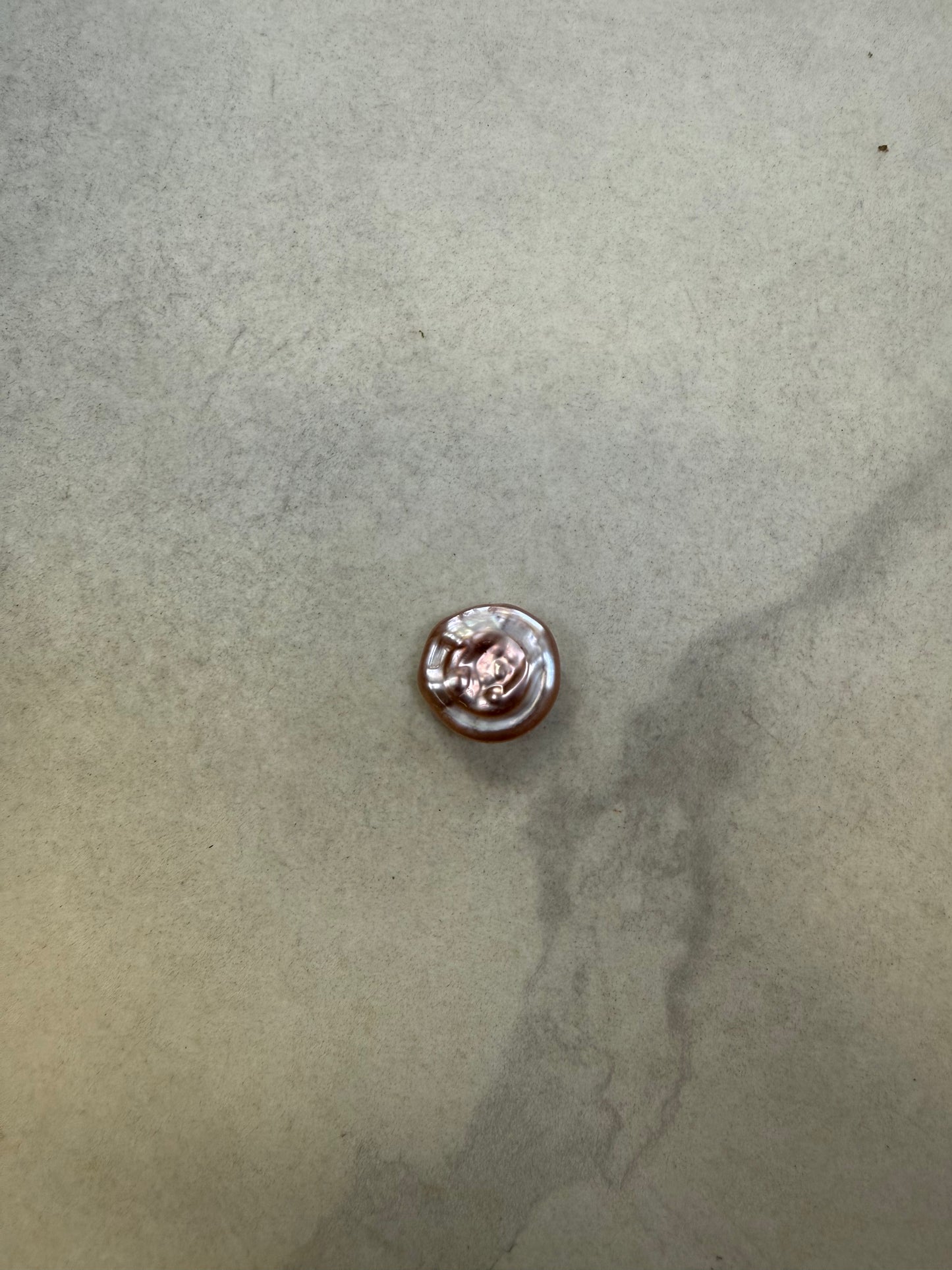【Live-Gary】petal pearl clams(1-3 pcs petal pearls)