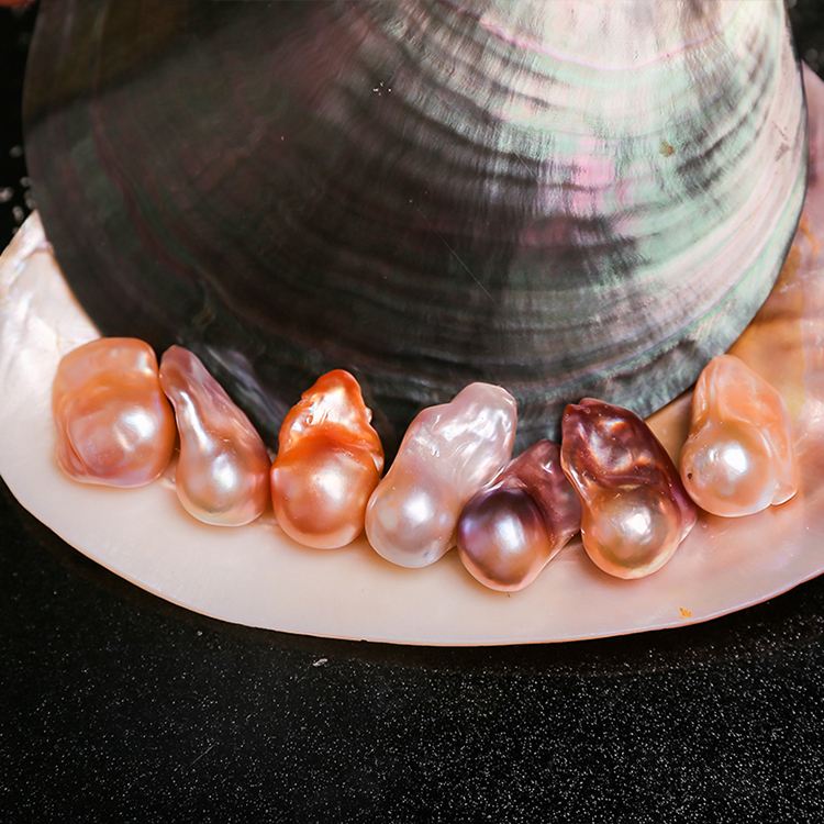【Live-Gary】Dazzling king Legend Baroque pearl clam (1-2Baroque pearls+1 Edison Pearl)