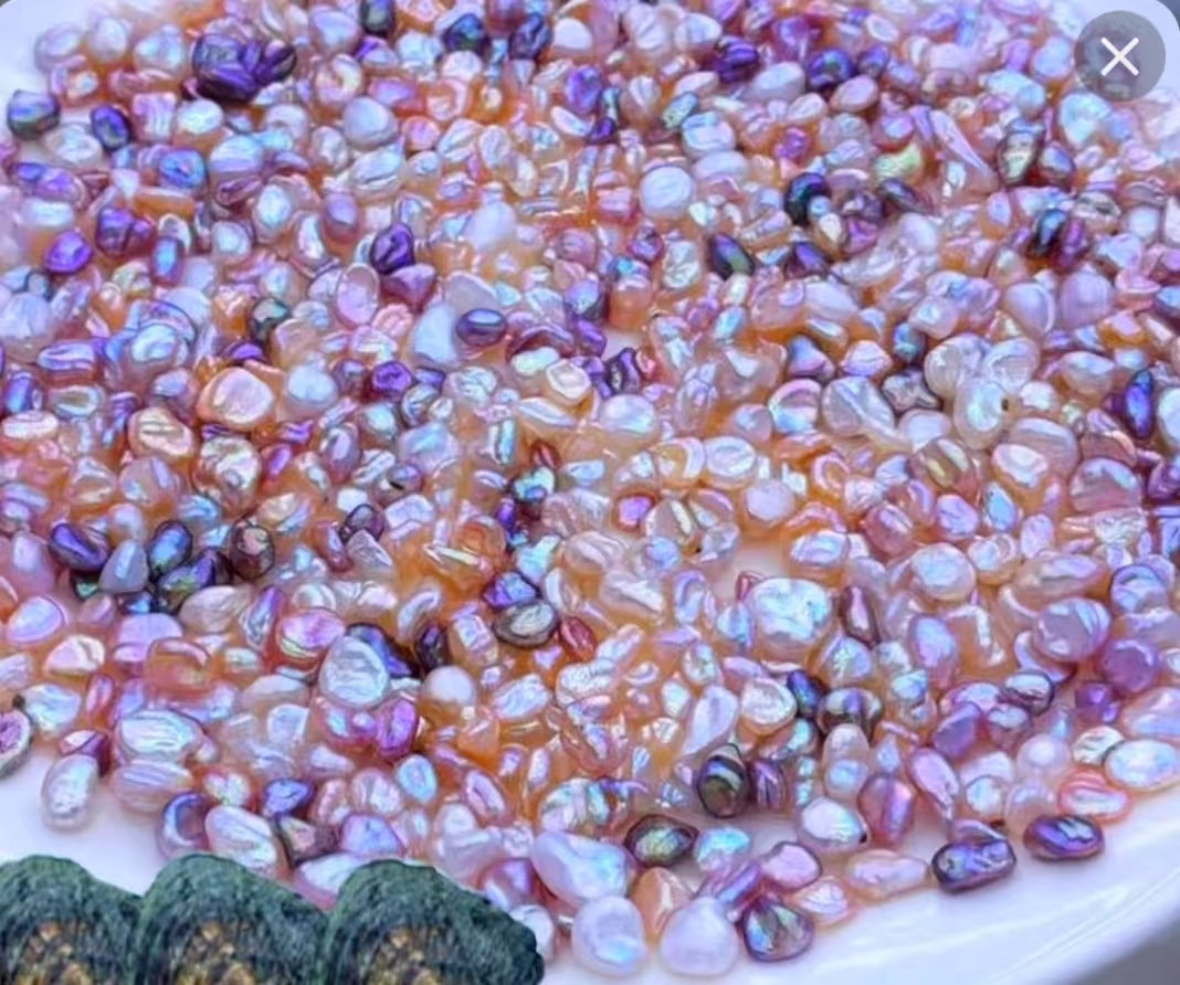 【Live-Gary】Keshi Pearl clam【8-15pics seedless pearl】