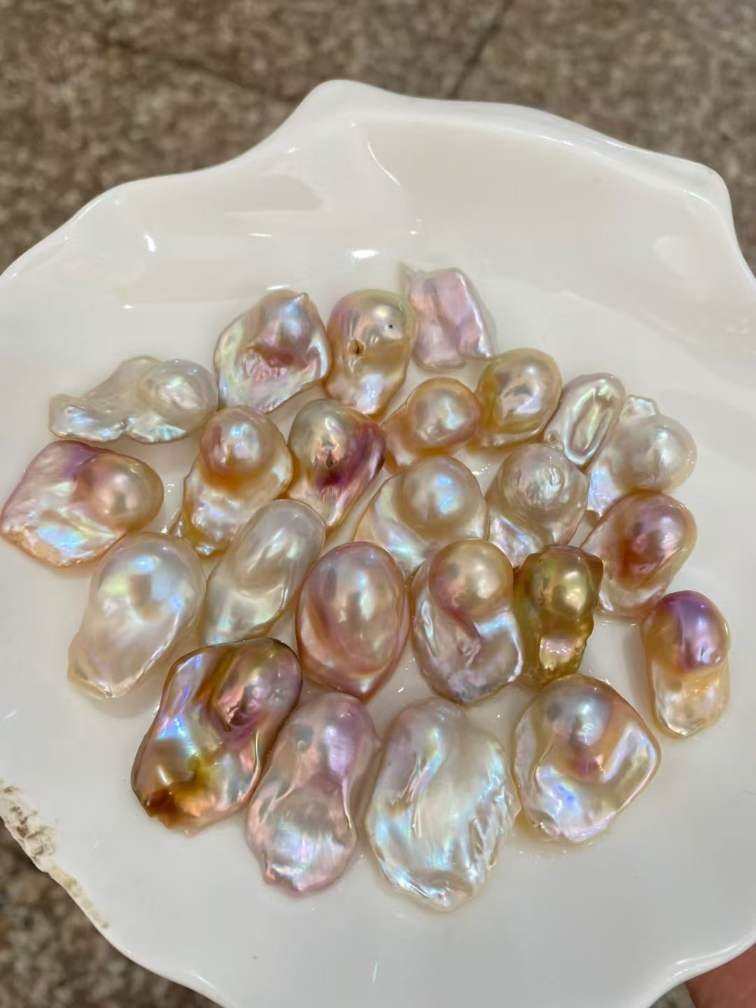 【Live-Gary】Legend Pearl clam【1-2 legend pearl】