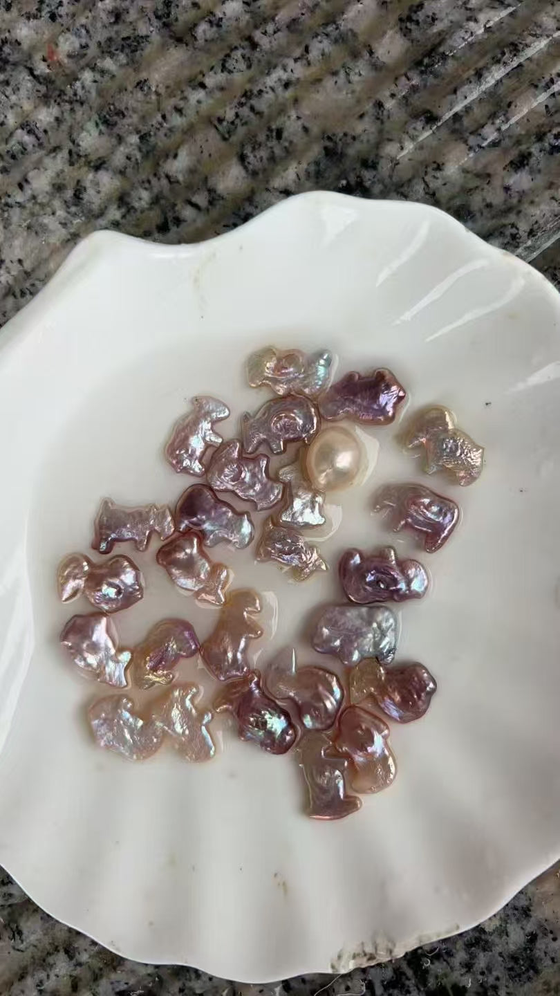 【Live-Gary】Zodiac Baroque Pearl clam (3-6pcs baroque pearls+one edison)
