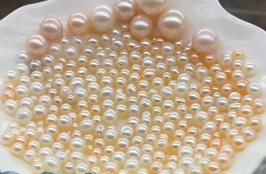 【Live-Gary】Dragon freshwater akoya pearl clam (5-9mm ak pearls+1 Edison Pearl)